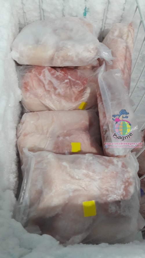 �ٻ�Ҿ���3 �ͧ�Թ��� : �������  ���ͨ����ʴ���� (��ͧ�ѹ)