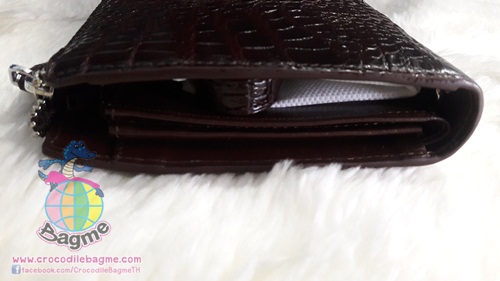 �ٻ�Ҿ���3 �ͧ�Թ��� : ������� �����Ҷ�ͤ�Ѫ BC223 ��� �չ�ӵ��