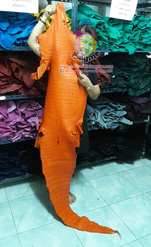 �ٻ�Ҿ���3 �ͧ�Թ��� : �������  ��˹ѧ�� �͡��