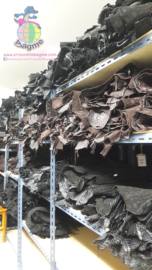 �ٻ�Ҿ���3 �ͧ�Թ��� : �������  ��˹ѧ�� �͡��